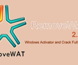 Removewat 2.2.6 Activator